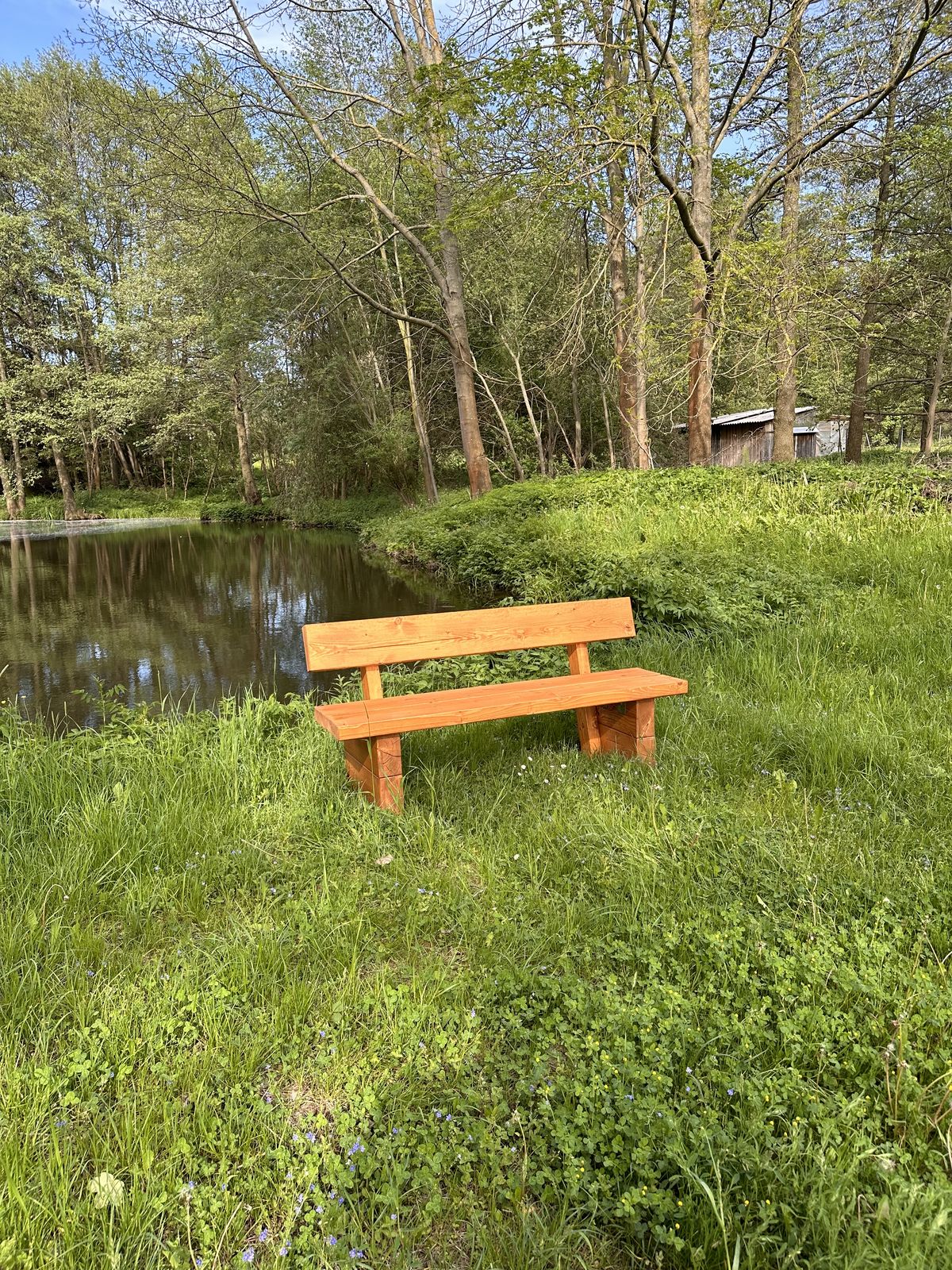 Bank am Teichufer
